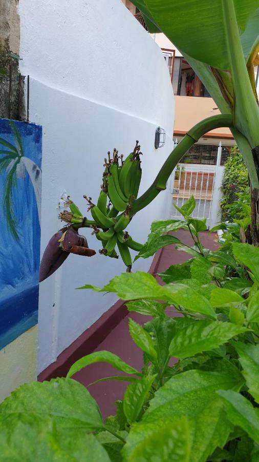 בייהיבה Playa Blanca Bed And Breakfast מראה חיצוני תמונה